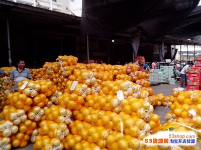 長春果品中心批發(fā)市場全方位指南 地址、路線、營業(yè)時間與拿貨攻略